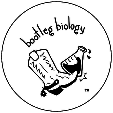 Bootleg Biology Logo